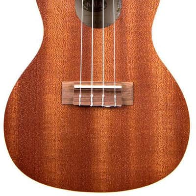 Kala KA-C Mahogany Concert Ukulele image 1