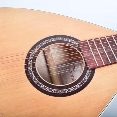 Trembita Kobza Acoustic Guitar 12 string Antique Lute Folk Vihuela Unique Design Travel mandolin image 5
