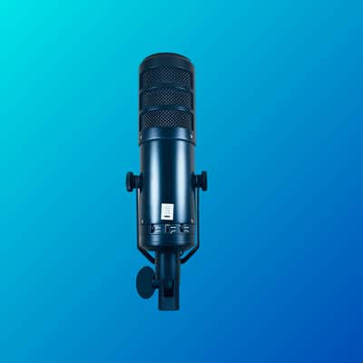 Golden Age Project D2 Large Dynamic Microphone image 2