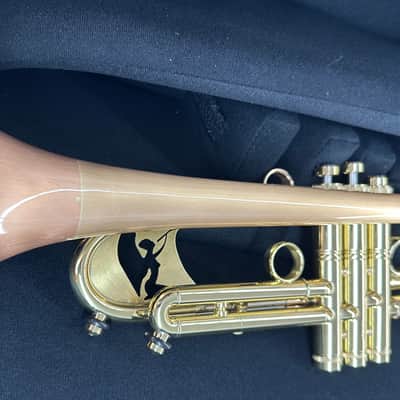 Taylor Trumpets unique  Balladeer  Hybrid Trumpet/Flugle image 3