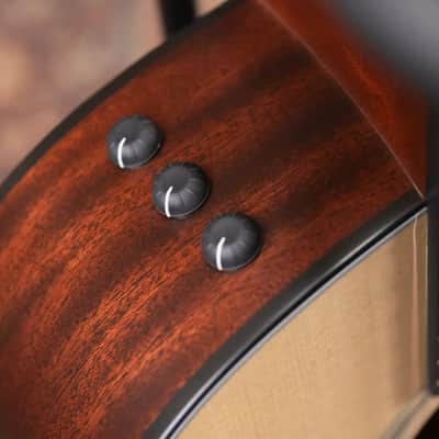 Taylor 314ce Grand Auditorium Acoustic/Electric Guitar with Hardshell Case image 9