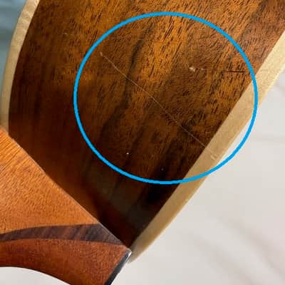 Lowden Wee Lowden 35 - 12 Fret image 16