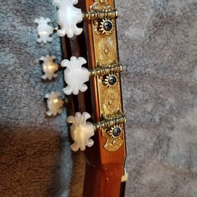 Fernandes/Takamine GC25 in 1975 image 16