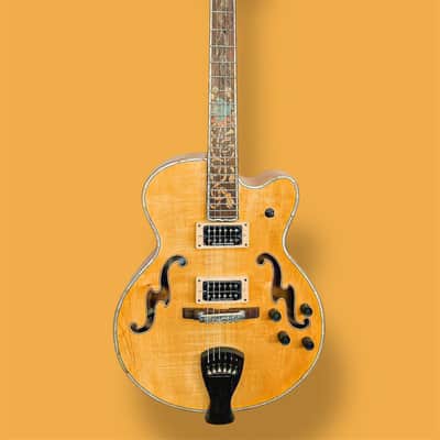 Blueberry Handmade Hollow Body Electric Guitar Rapunzel Motif image 17
