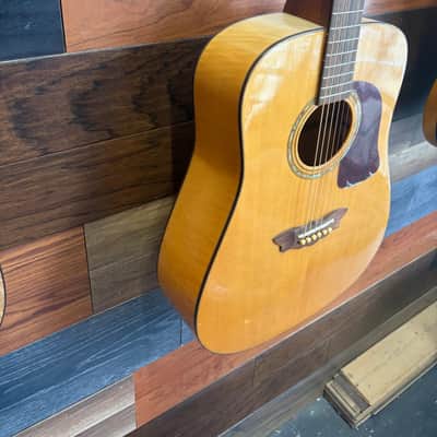 Washburn D48 SW Acoustic image 6