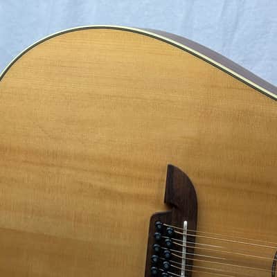 Alvarez AD60-12CE 12-string Acoustic Guitar with Case image 5