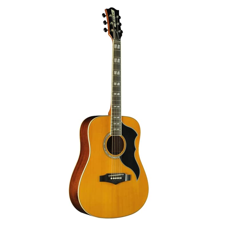 Eko Ranger Vi Vr Eq Natural Top Stained | Reverb Canada
