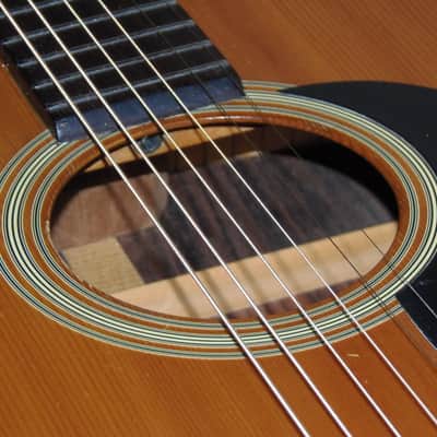 Rare 1974 Takamine F-310S, Solid Spruce w/Rosewd-42yrs Old,This one is Relic'd naturally w/age Nice! image 23
