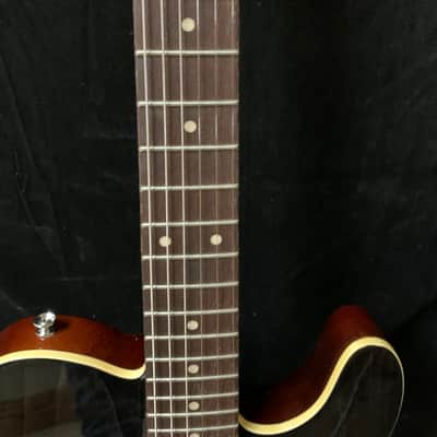 IYV Semi hollow TL 2025 - Dark woodgrain image 9