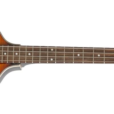 Epiphone Viola Bass Vintage Sunburst British Invasion Era Classic image 4