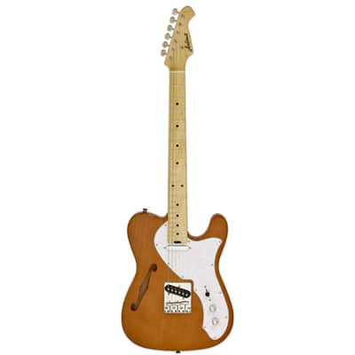 Aria ProⅡ Telecaster Thinline 1978年製 Aria ProⅡ Telecaster Thinline 1978年製 Aria ProⅡ Telecaster