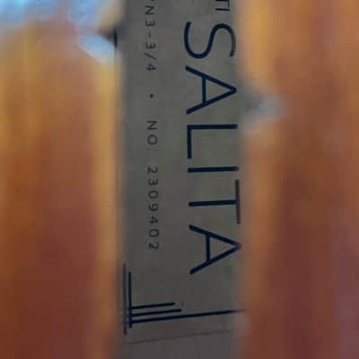 Carlo Amati VN3 'Salita' Advanced Student Violin Outfit - 3/4 image 12