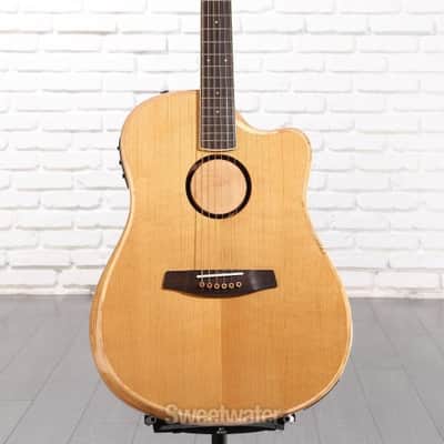 LR Baggs AEG-1 Acoustic-electric Guitar - Torrefied Spruce Top (AEG1Trfd1) image 1