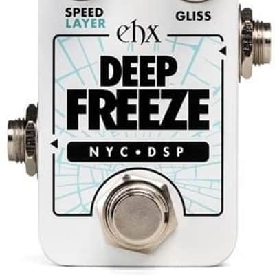 Electro-Harmonix Pico Deep Freeze Sound Retainer | Reverb