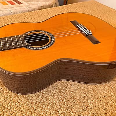 Cordoba C10 Cedar Classical Guitar – Very Good Condition, Pre-Yamaha Era (2019) image 10