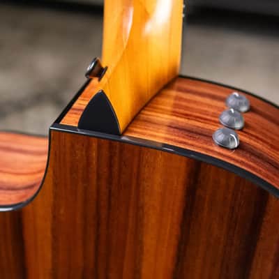 Taylor 212ce Plus Grand Concert Acoustic/Electric Guitar with Aerocase image 9