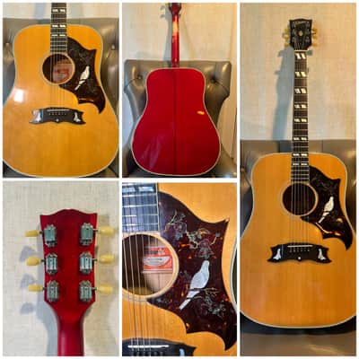 Gibson Dove 1970s image 1