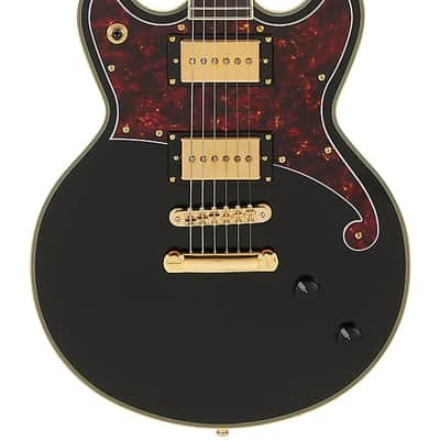 D'Angelico Deluxe Eric Krasno Signature Brighton Solid Black