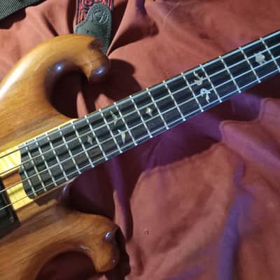 Olivo, Rare 80's, Alembic style, 1982-83 - Clear gloss finish over Padauk image 4
