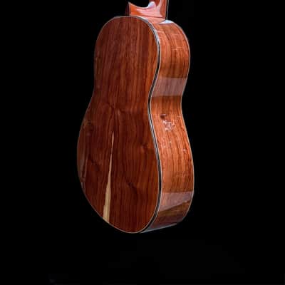 2025 Francisco Navarro (Hijo) SP/PE Flamenco Concert Reyes image 4