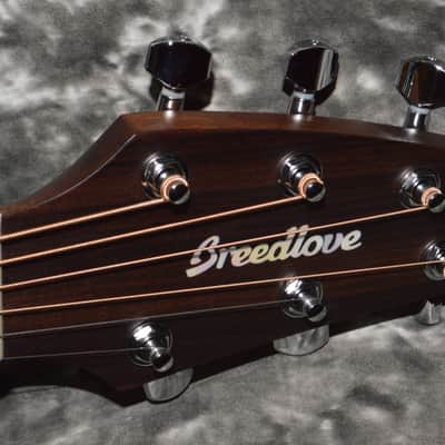 2021 Breedlove - Discovery Concert  - Natural image 4
