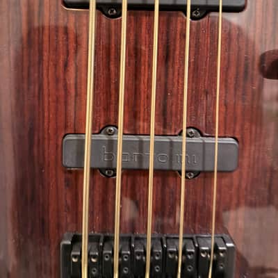 Warmoth Deluxe 5 J Bass Fretless 2025 Gloss Indian Rosewood image 6