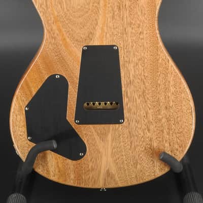 Paul Reed Smith DGT Semi-Hollow w/ Birds - Faded Blue Jean image 5