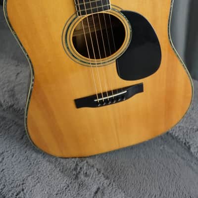 TF Morris W-50 - Natural Japan Acoustic image 1
