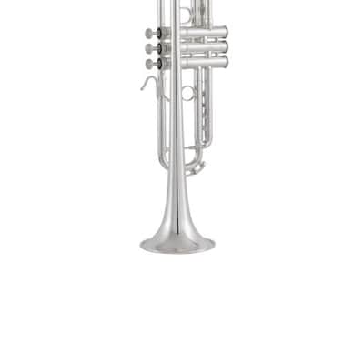 Bach 170S43GYR Apollo Trompete image 1