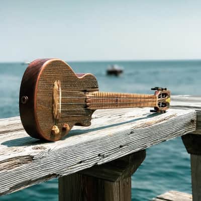 Tyde Music "Shipwreck"-custom 2017 Rustic image 2