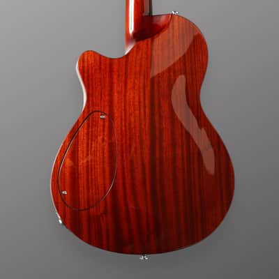 CP Thornton Professional 2022 - Tobacco Burst. Duncan Custom Shop Dynasonic (in Humbucker size) + original Hums. (Authorized Dealer) image 7