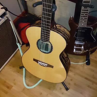 Poling Guitars Sierra 2013 Black and White Flamed Ebony image 1