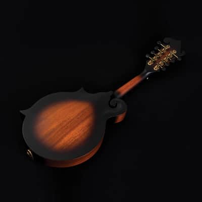 Washburn M108SWK Mandolin w/Case image 6