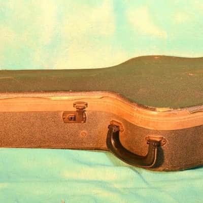Gretsch Chet Atkins Tennessean 6119 1964 - Walnut image 18
