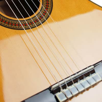 Washburn C64SCE Solid Spruce Top Mahogany Neck 6-String Classical Acoustic-Electric Guitar image 7