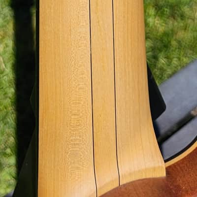 Swan RHO 5 Special NAMM 2022 image 5