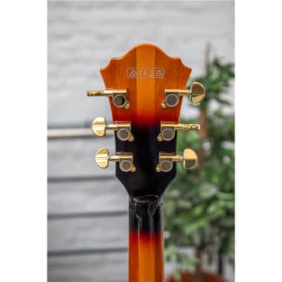 IBANEZ AS113-BS image 6