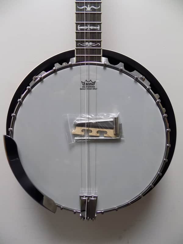 Washburn Americana B10 5-string Resonator Banjo image 1