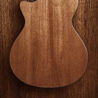 Taylor 312ce Next Generation Grand Concert Acoustic-Electric Guitar | Claria Pickup, Scalloped V-Bracing & Action Control Neck image 22