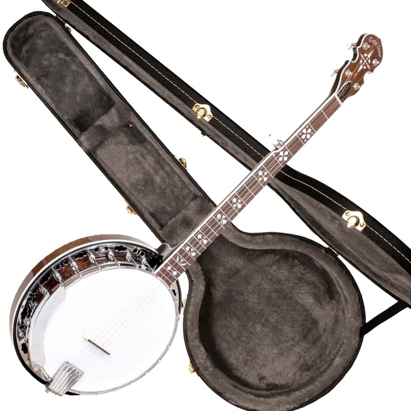 GOLD TONE BG-150F 5-string Bluegrass Resonator BANJO w/ Hard Case - Planetary Tuners image 1