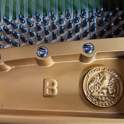C. Bechstein B 1919 - Ebony Polish image 10
