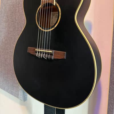 Ibanez AEG10NE Nylon Acoustic-Electric with Fishman Aura Pro Upgrade image 2