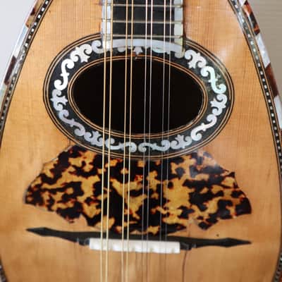 mandoline napolitaine a cotes creuses Giuseppe Serafino Garnotti image 4
