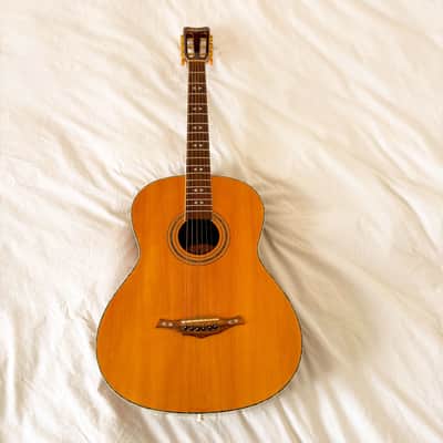 Hohner HF75 Acoustic Guitar (2005) – Excellent Condition with original picks! image 24