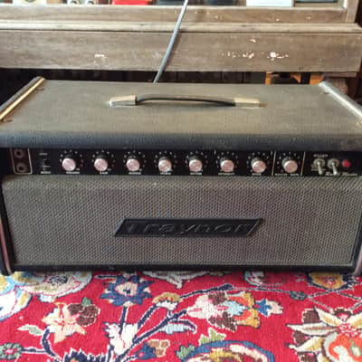 Traynor YRM-1 Reverb Master 50-Watt Guitar Head