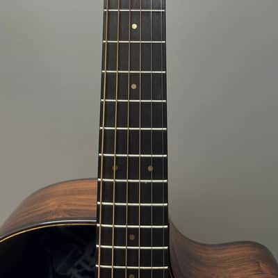 Bedell Breedlove Brazilian Rosewood Brand New With Cities passport image 4