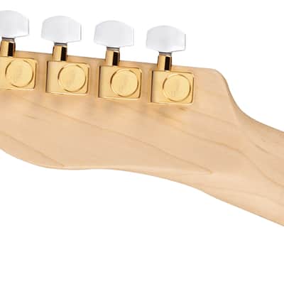 Fender James Burton Telecaster Maple Fingerboard, Red Paisley Flames image 7