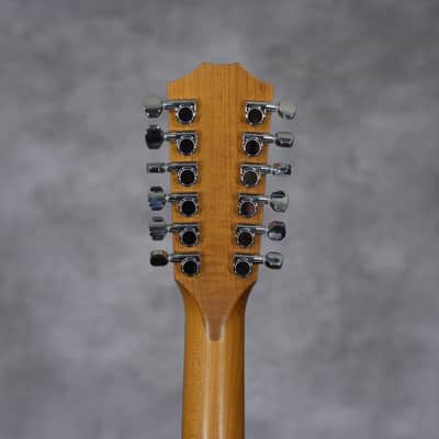 Taylor 150e 2014 - Present - Natural image 4