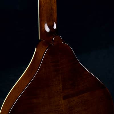 Eastman MD505 A-Style Mandolin Classic Finish NEW image 12