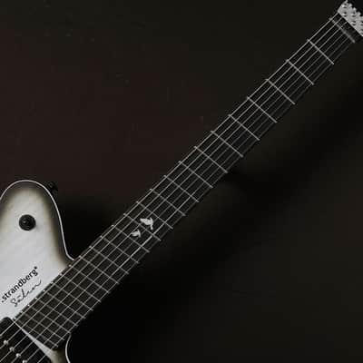 Strandberg Guitars Salen APS Monochrom Limited Edition #097 image 5